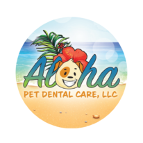 Aloha Pet Dental Care in Hawaii